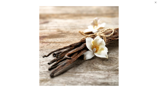 Moon Over Matter Candle - Madagascar Vanilla Bean