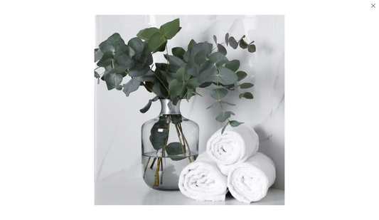 Moon Over Matter Candles - White Eucalyptus